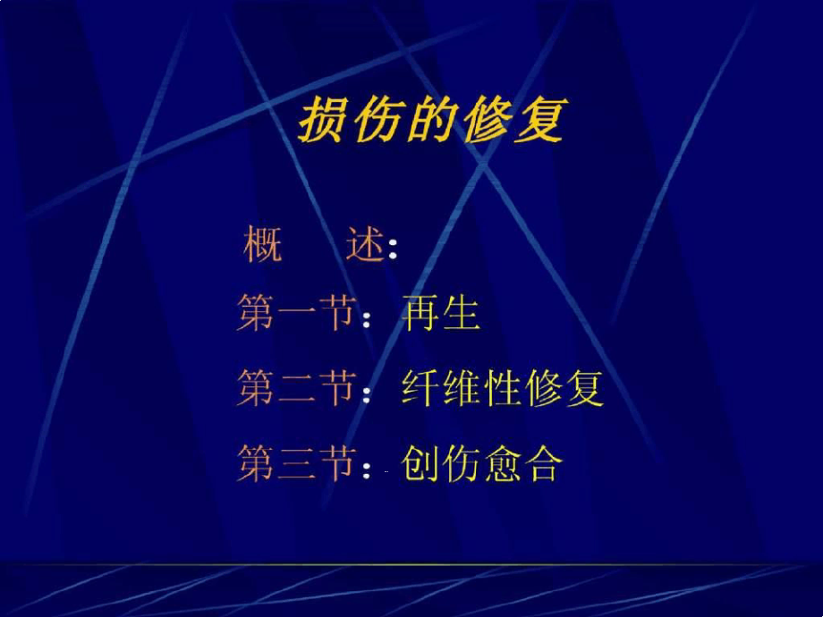 病理学ppt课件-损伤的修复_第1页