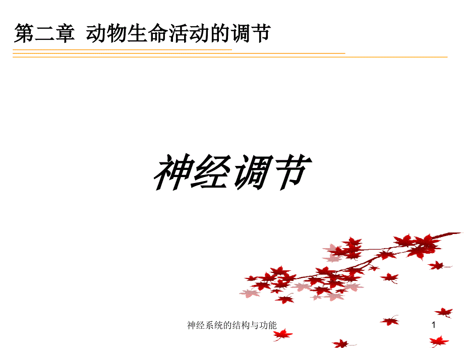 神经系统的结构与功能ppt课件_第1页