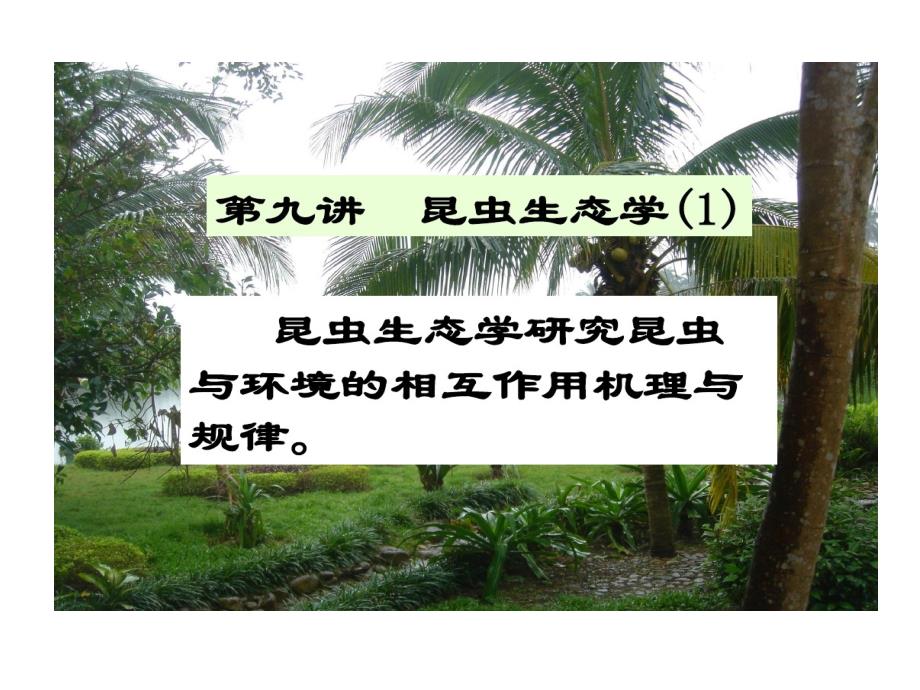 有效积温法则昆虫完成一定发育阶段教学课件_第1页