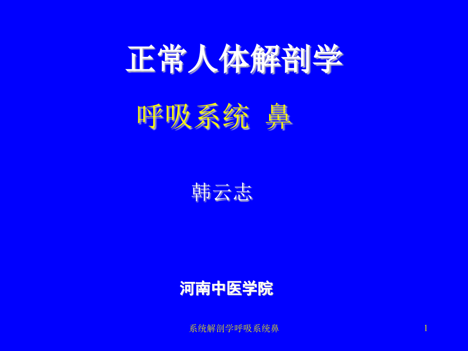 系统解剖学呼吸系统鼻ppt课件_第1页