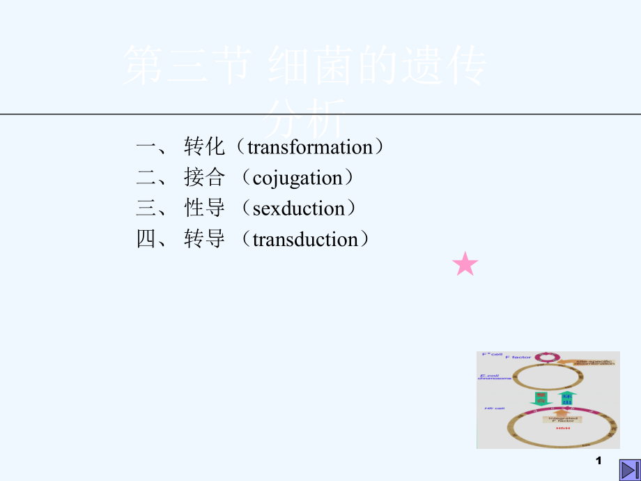 细菌和病毒的遗传性导转导课件_第1页