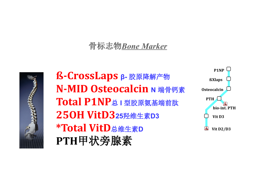 骨标志物临床应用培训 医学ppt课件_第1页