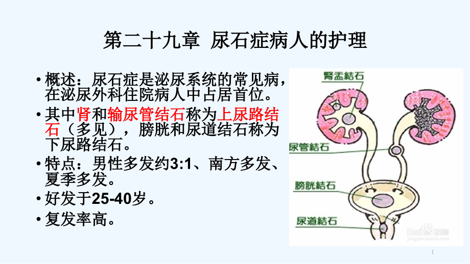 尿石症病人的护理课件_第1页