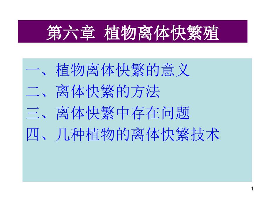 植物组织培养-第六章-植物离体快繁课件_第1页