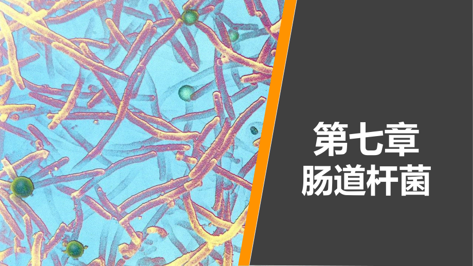 病原生物学与免疫学-第七章课件_第1页