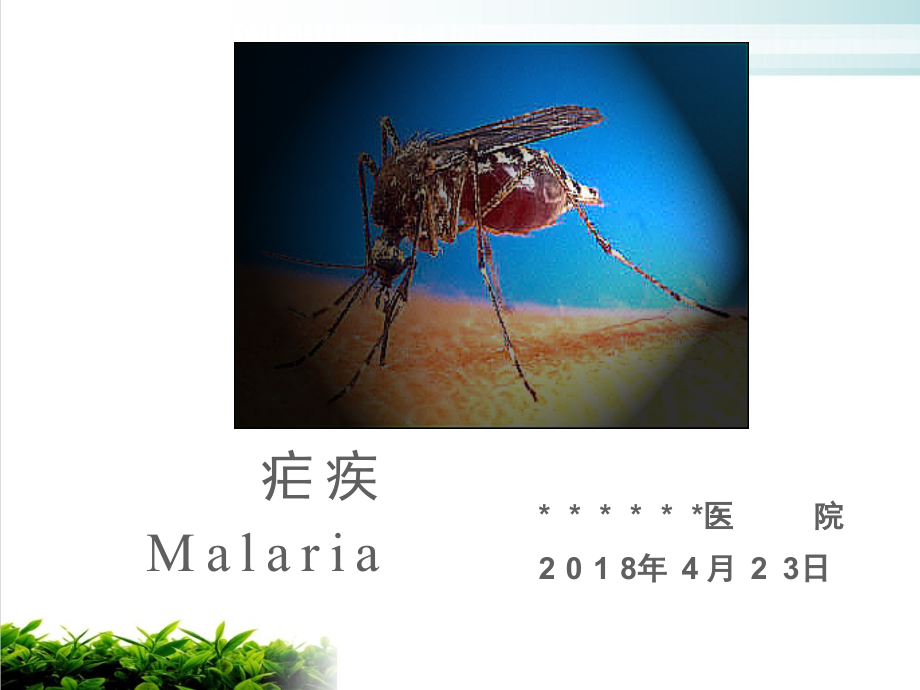 疟疾培训资料课件_第1页