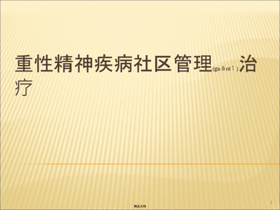 重性精神疾病社区管理治疗课件_第1页