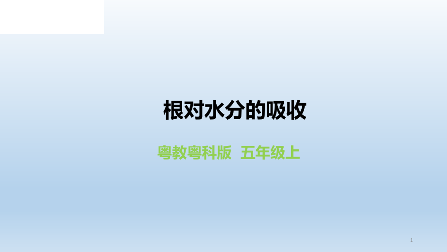 新粤教版五年级科学上册12《根对水分的吸收》-教学课件_第1页