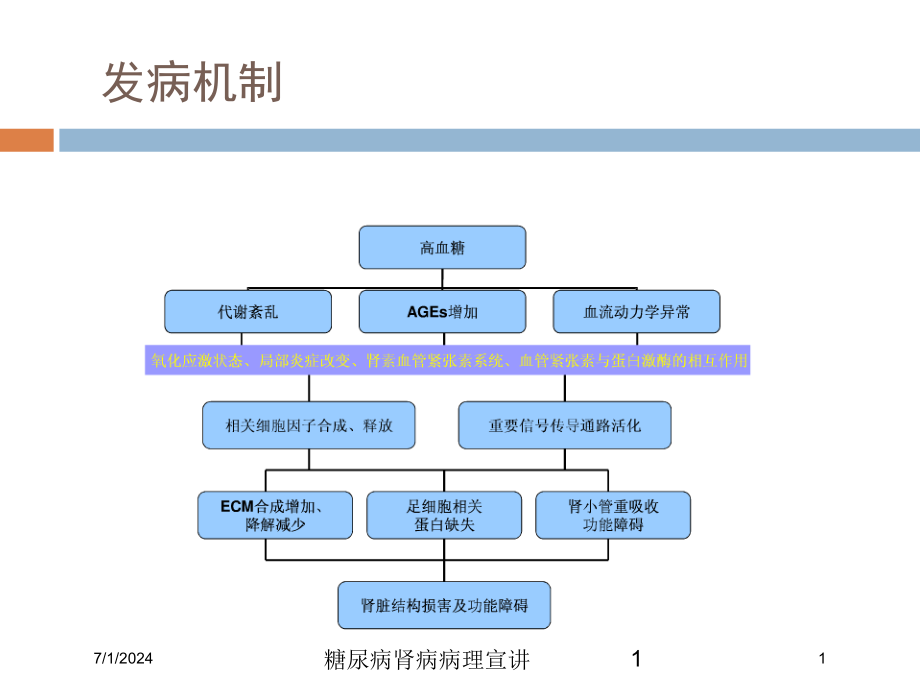 糖尿病肾病病理宣讲培训ppt课件_第1页