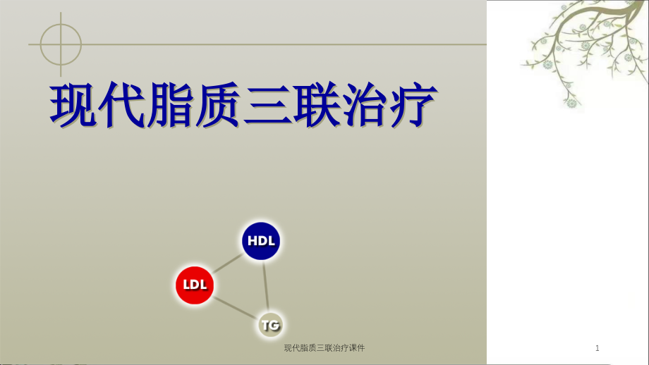 现代脂质三联治疗ppt课件_第1页