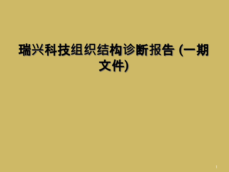 某科技组织结构诊断报告-(一期文件)课件_第1页