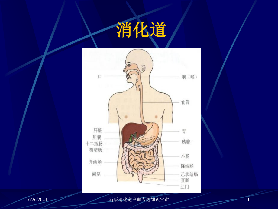 新版消化道出血专题知识宣讲培训ppt课件_第1页