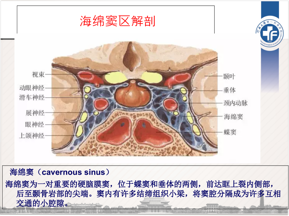 海绵窦区解剖参考课件_第1页