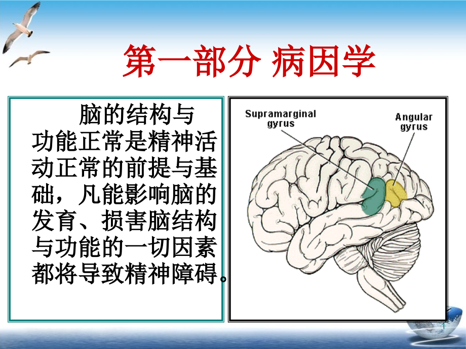 精神科护理精神疾病基础课件_第1页