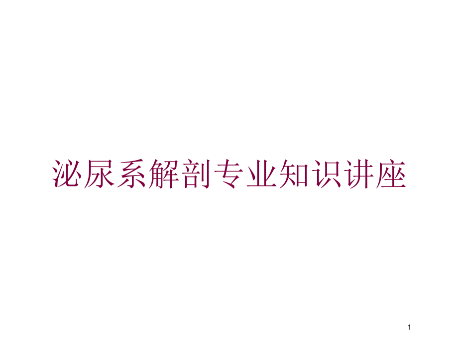 泌尿系解剖专业知识讲座培训ppt课件_第1页