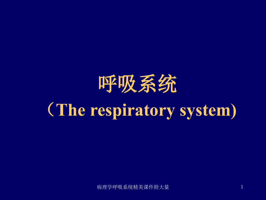 病理学呼吸系统精美ppt课件附大量_第1页