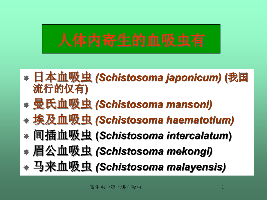 寄生虫学第七讲血吸虫ppt课件_第1页