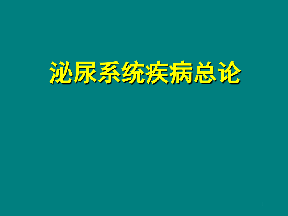 泌尿系统疾病总论 课件_第1页