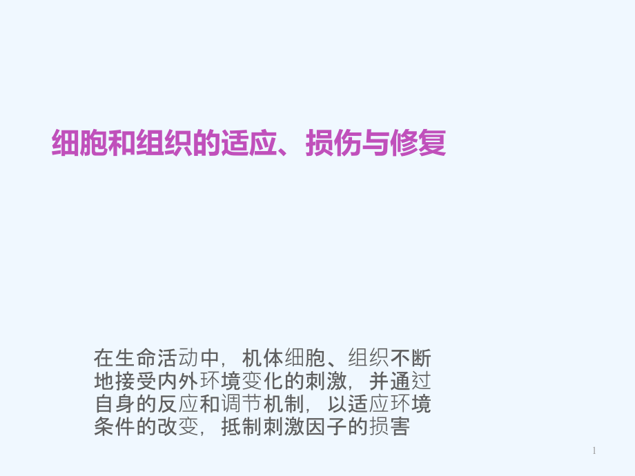 第二章细胞核组织适应损伤与修复课件_第1页