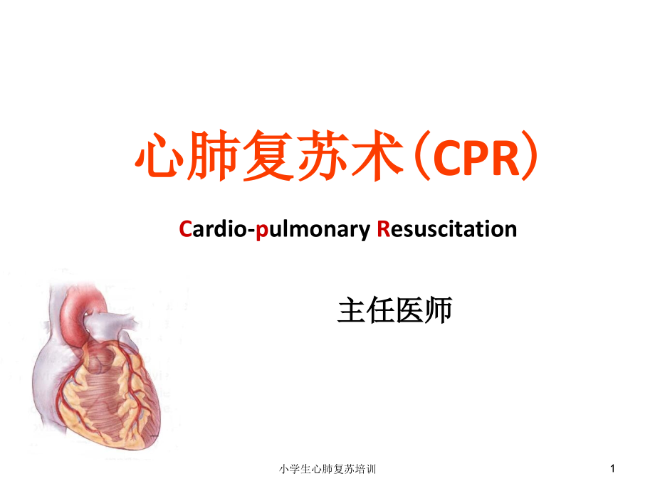 小学生心肺复苏培训ppt课件_第1页