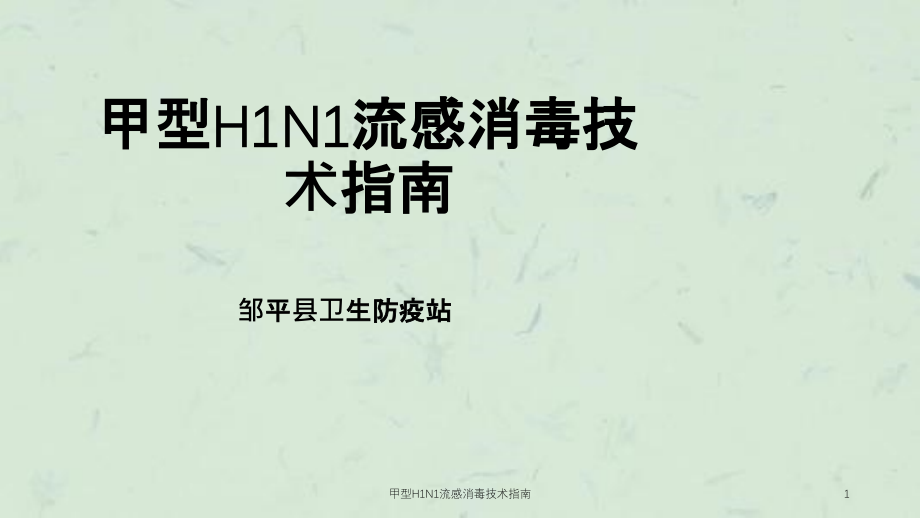 甲型H1N1流感消毒技术指南ppt课件_第1页