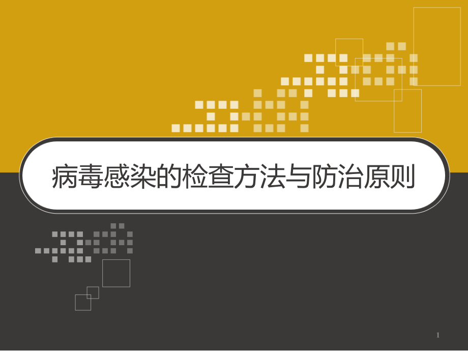 病毒感染的检查方法与防治原则课件_第1页