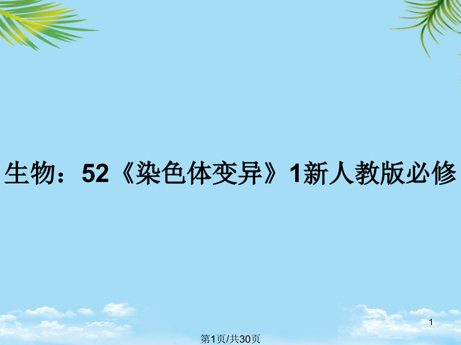 生物：《染色体变异》新人教版必修全面版课件_第1页