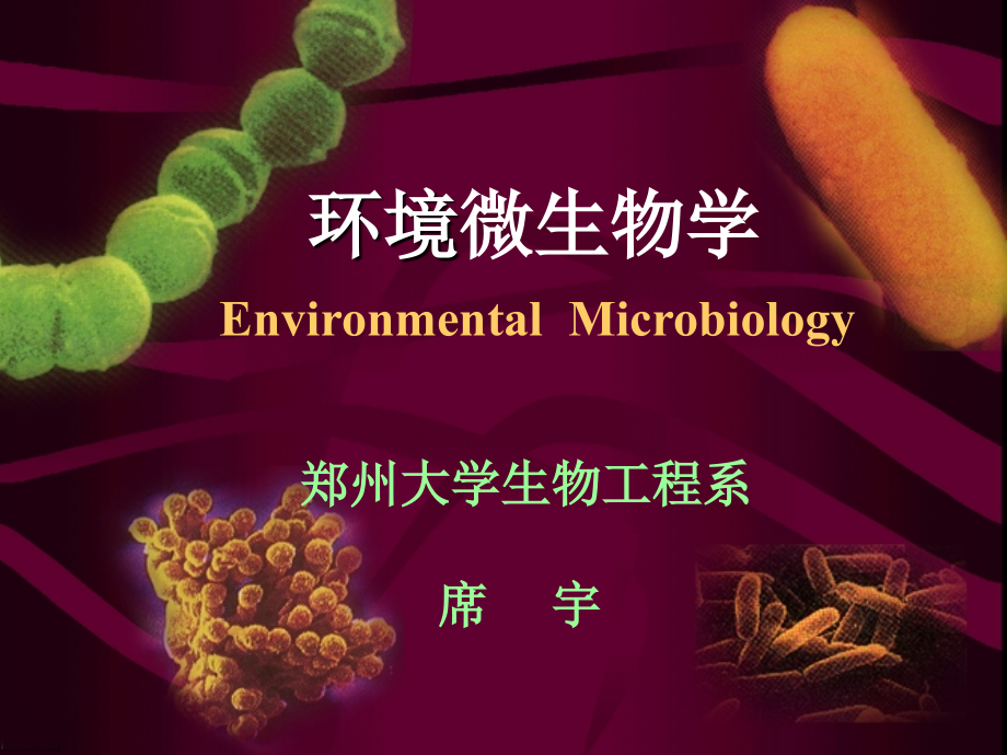 微生物分类学课件_第1页