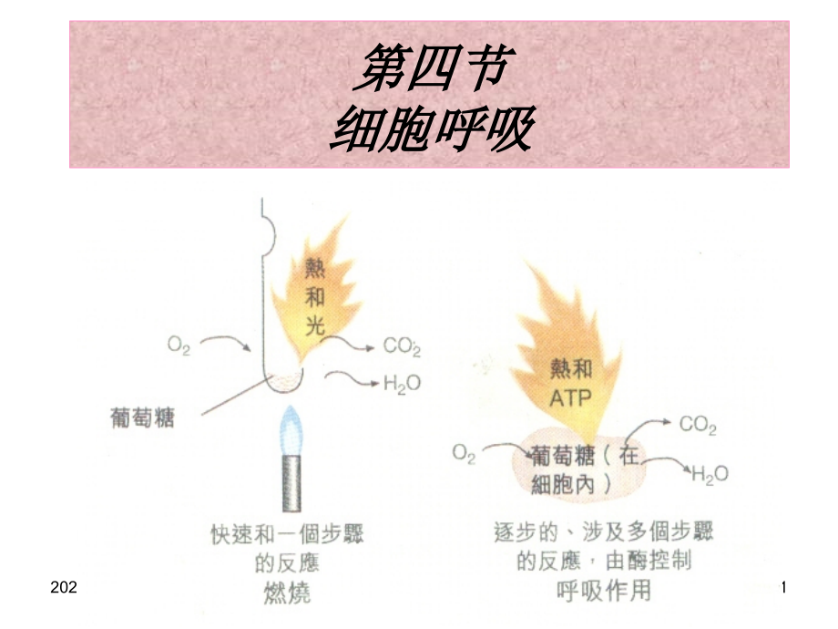 细胞呼吸ppt课件_第1页