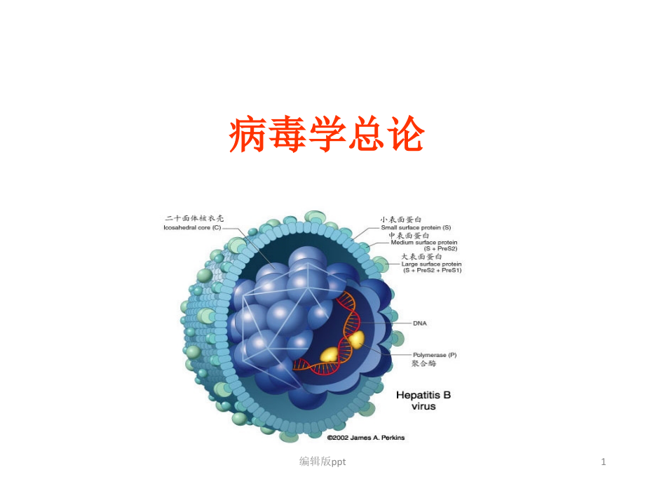 病毒学概论医学课件_第1页