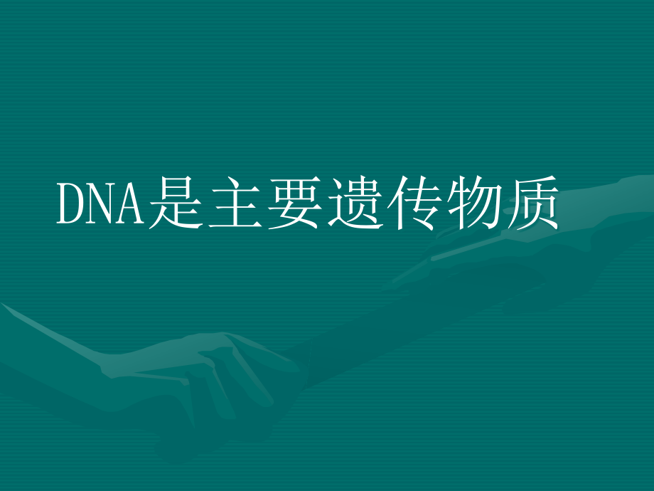 DNA是主要的遗传物质课件_第1页