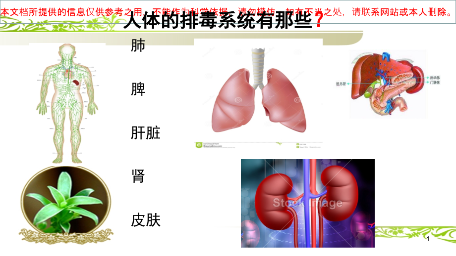 淋巴排毒医疗培训ppt课件_第1页