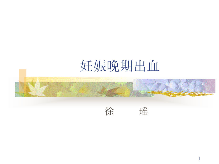 妊娠晚期出血性疾病教学课件_第1页