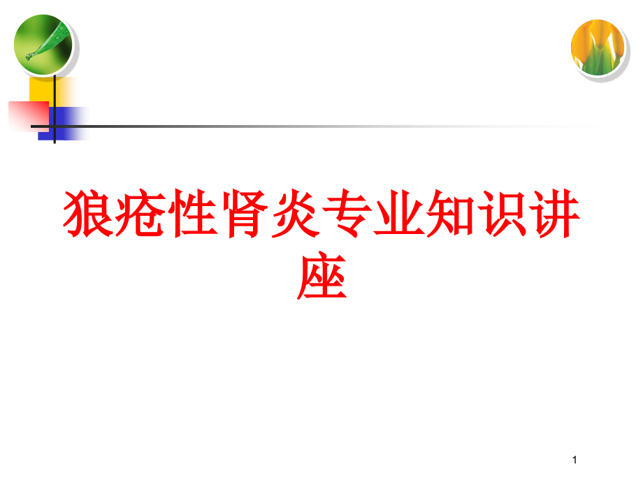 狼疮性肾炎专业知识讲座培训ppt课件_第1页