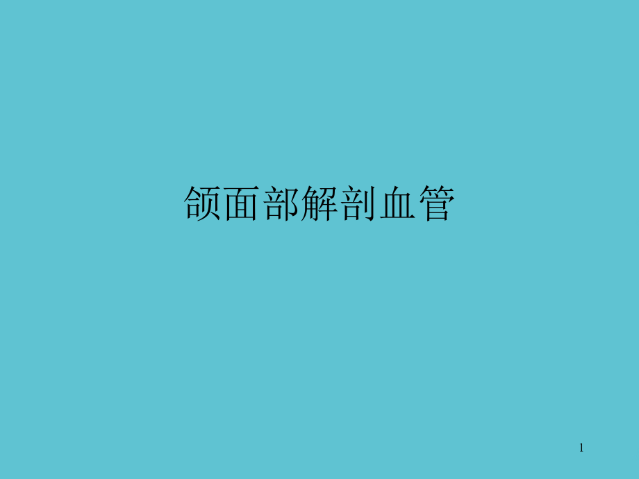 颌面部解剖血管课件_第1页