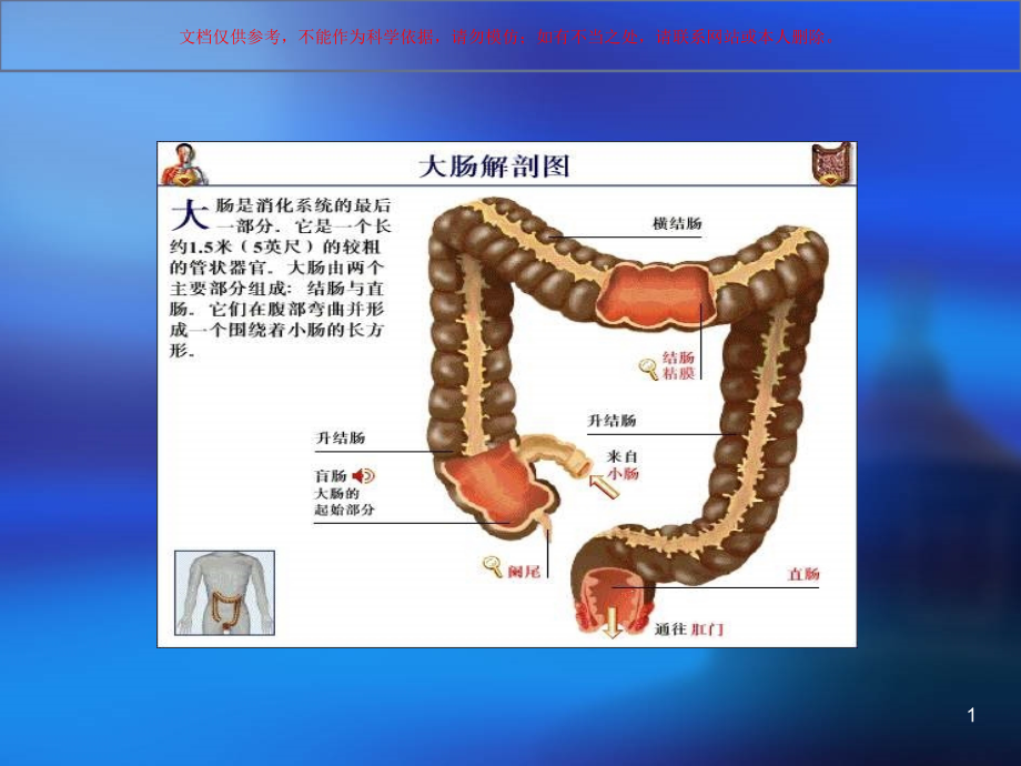 直肠癌的护理培训ppt课件_第1页