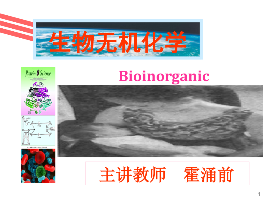 生物无机化学课件_第1页