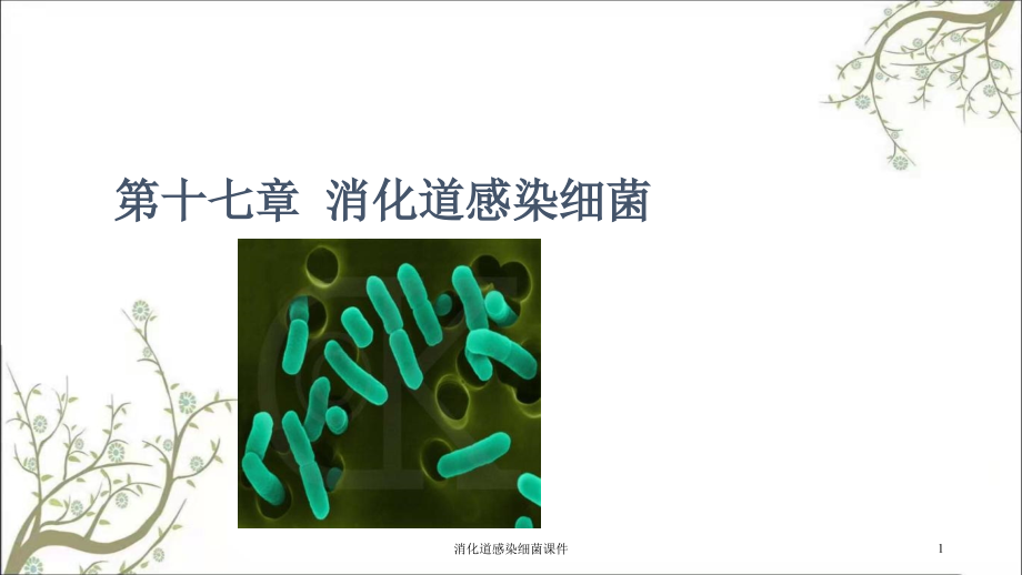 消化道感染细菌ppt课件_第1页