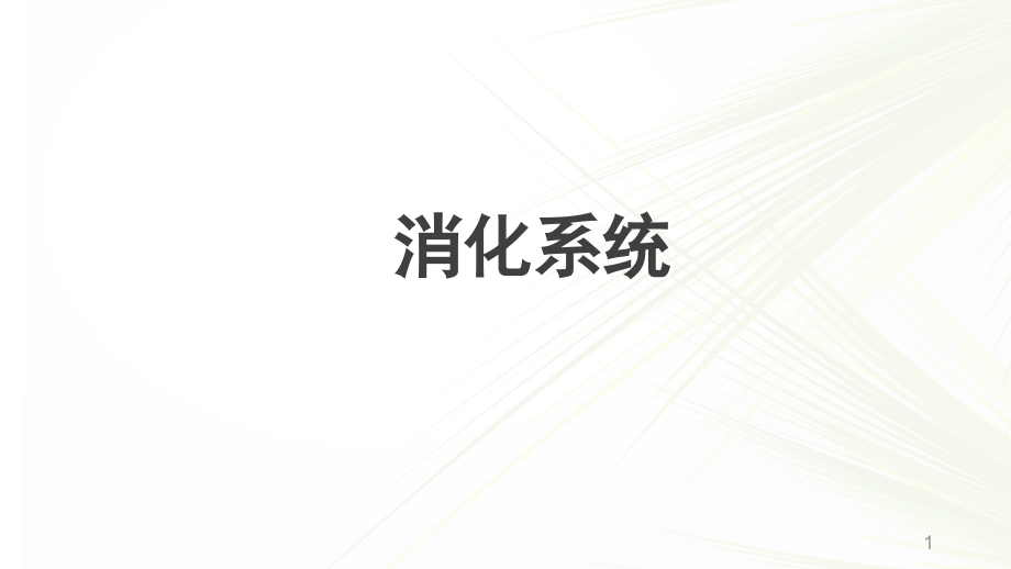 系统解剖学之消化系统学习课件_第1页