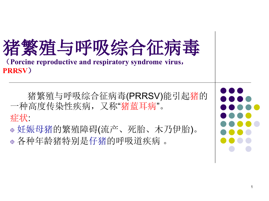 猪繁殖与呼吸综合征病毒ppt课件_第1页