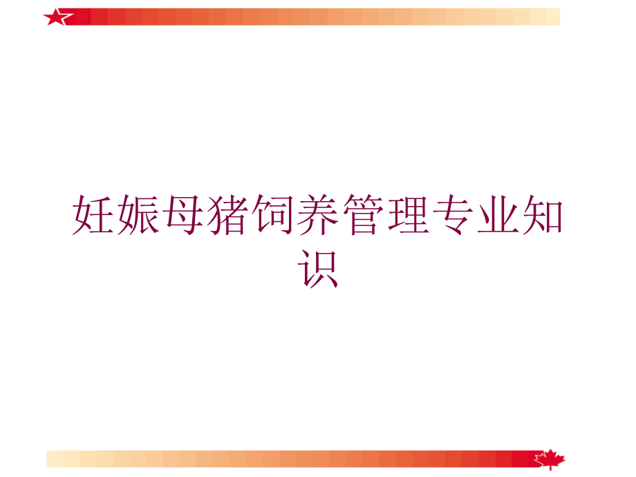 妊娠母猪饲养管理专业知识培训ppt课件_第1页