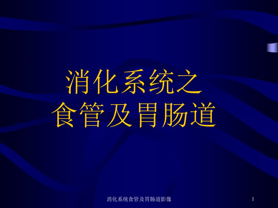 消化系统食管及胃肠道影像ppt课件_第1页