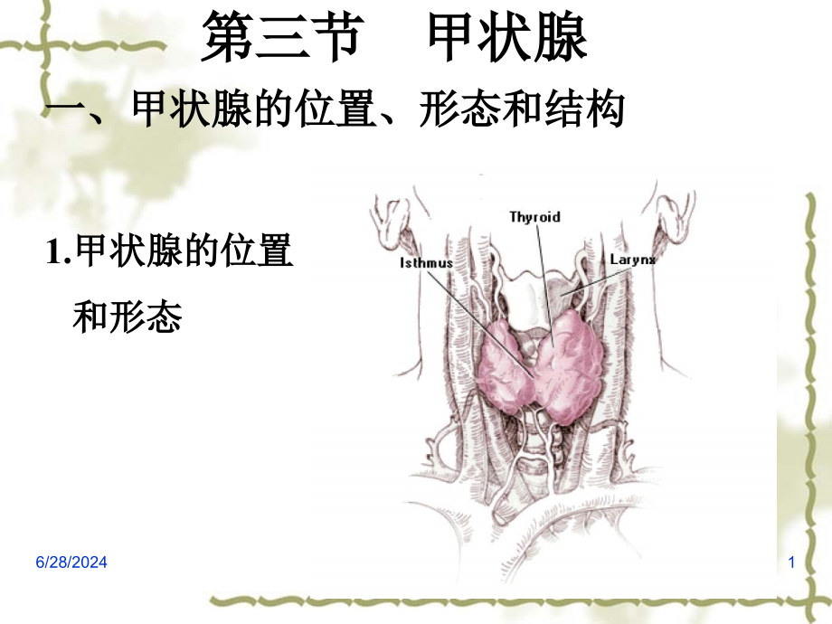 第七章内分泌课件_第1页