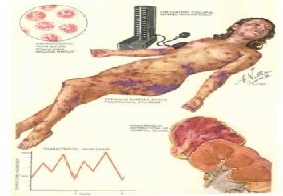 病理生理学知识讲座ppt课件_第1页