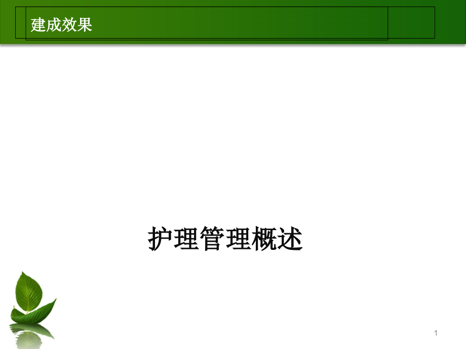 护理管理概论演示课件_第1页