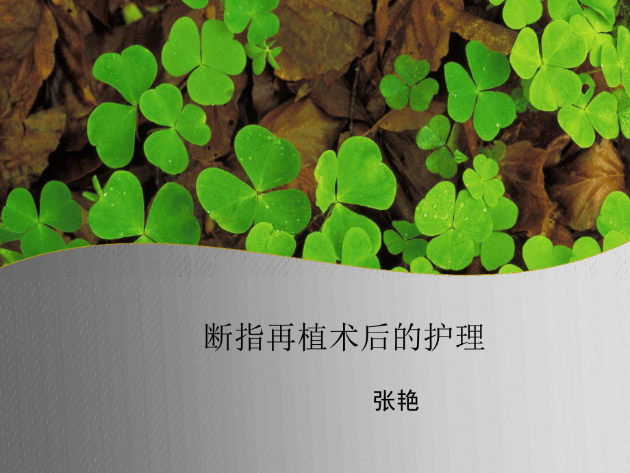 断指再植术后护理课件_第1页