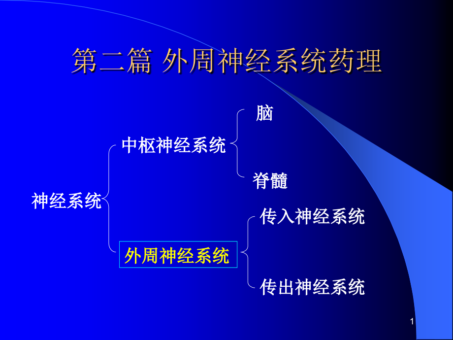 第四章传出神经系统药理概论讲述课件_第1页