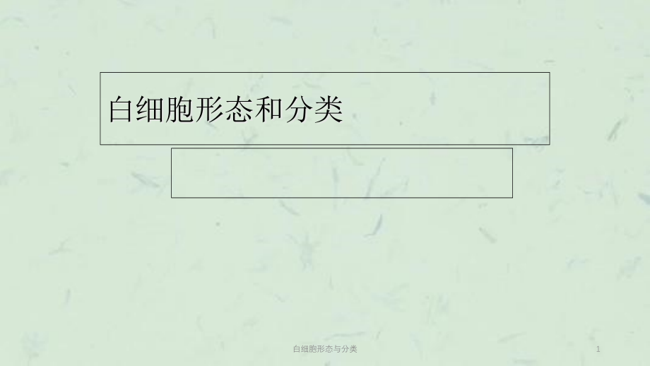 白细胞形态与分类ppt课件_第1页