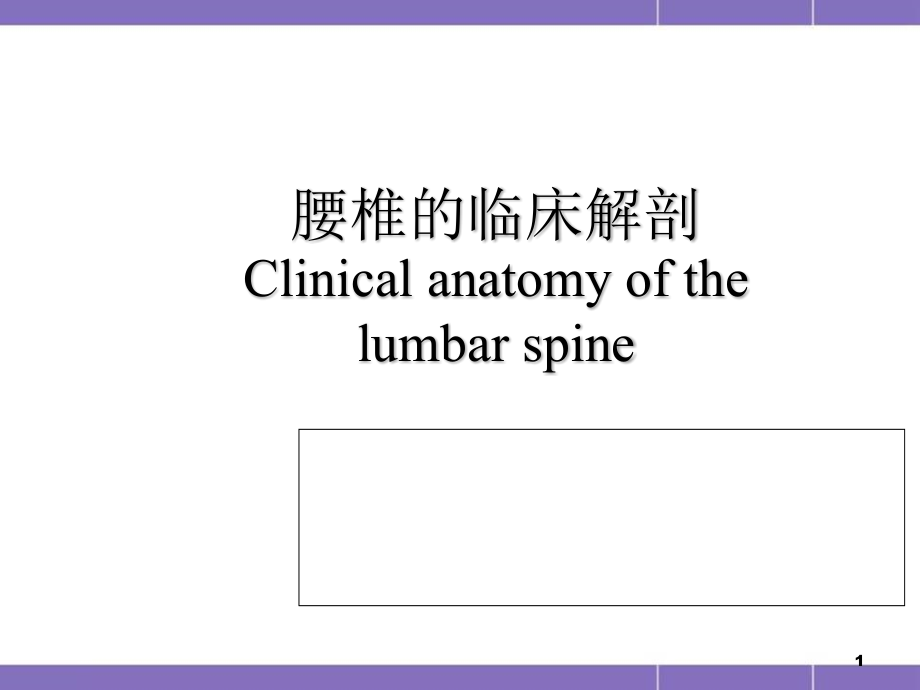 腰椎血管神经解剖培训 医学ppt课件_第1页