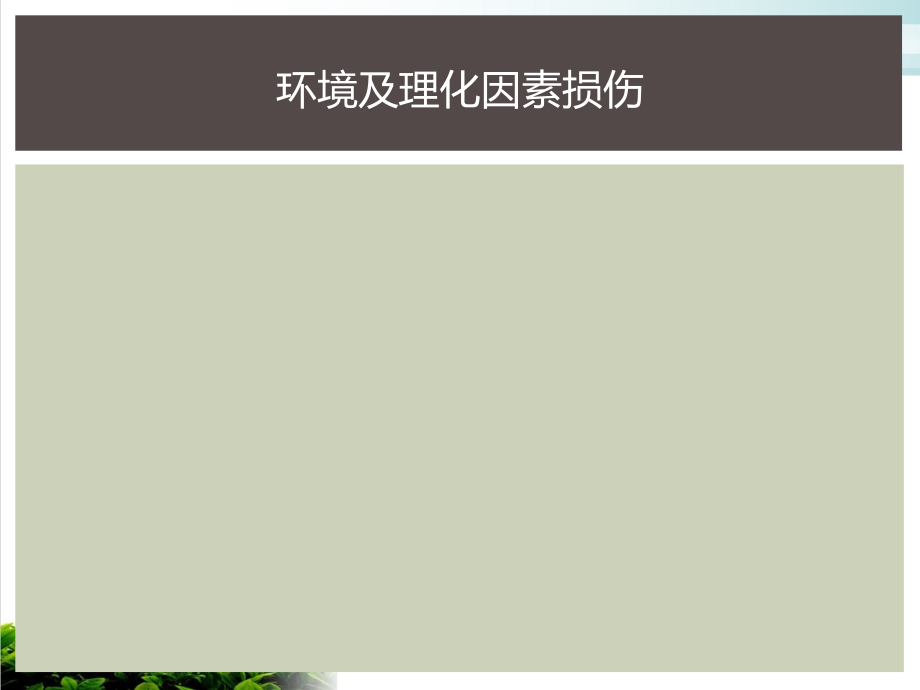 环境及理化因素损伤概述模版课件_第1页